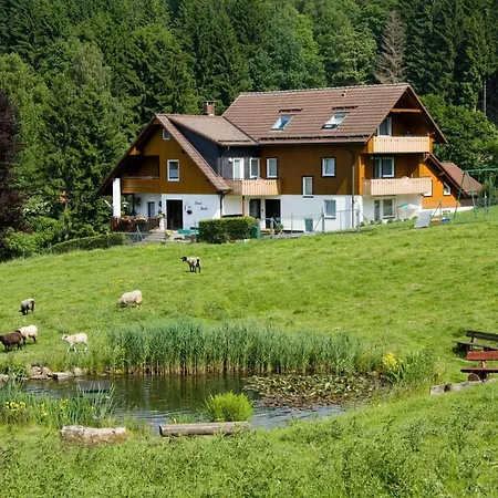 Haus Heidi Apartment *